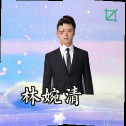 林婉清